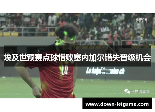 埃及世预赛点球惜败塞内加尔错失晋级机会 埃及世预赛点球惜败塞内加尔错失晋级机会